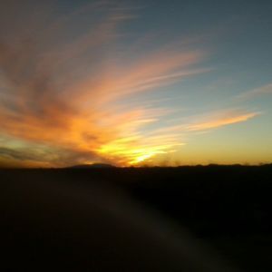 Meet your Posher, Terrie